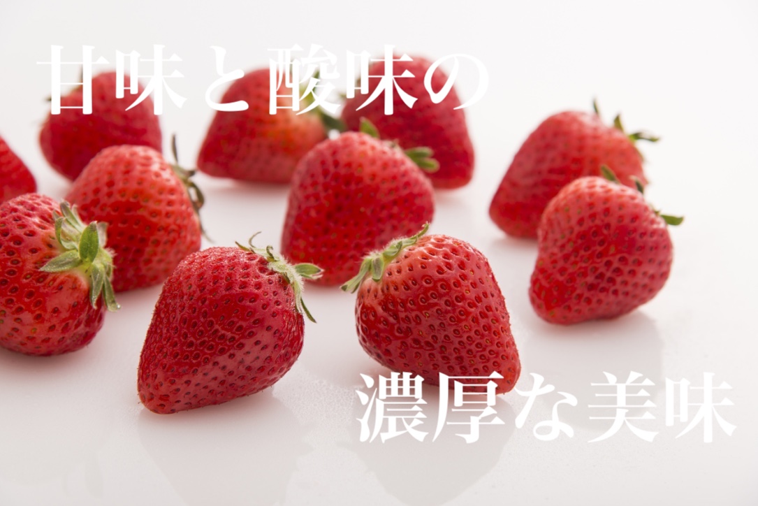 空浮いちごの直売所 空浮オンラインショップ